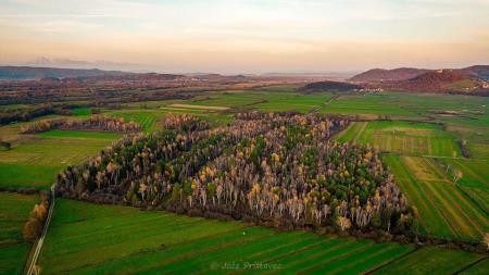 Goriški mah iz zraka  2 - Joc